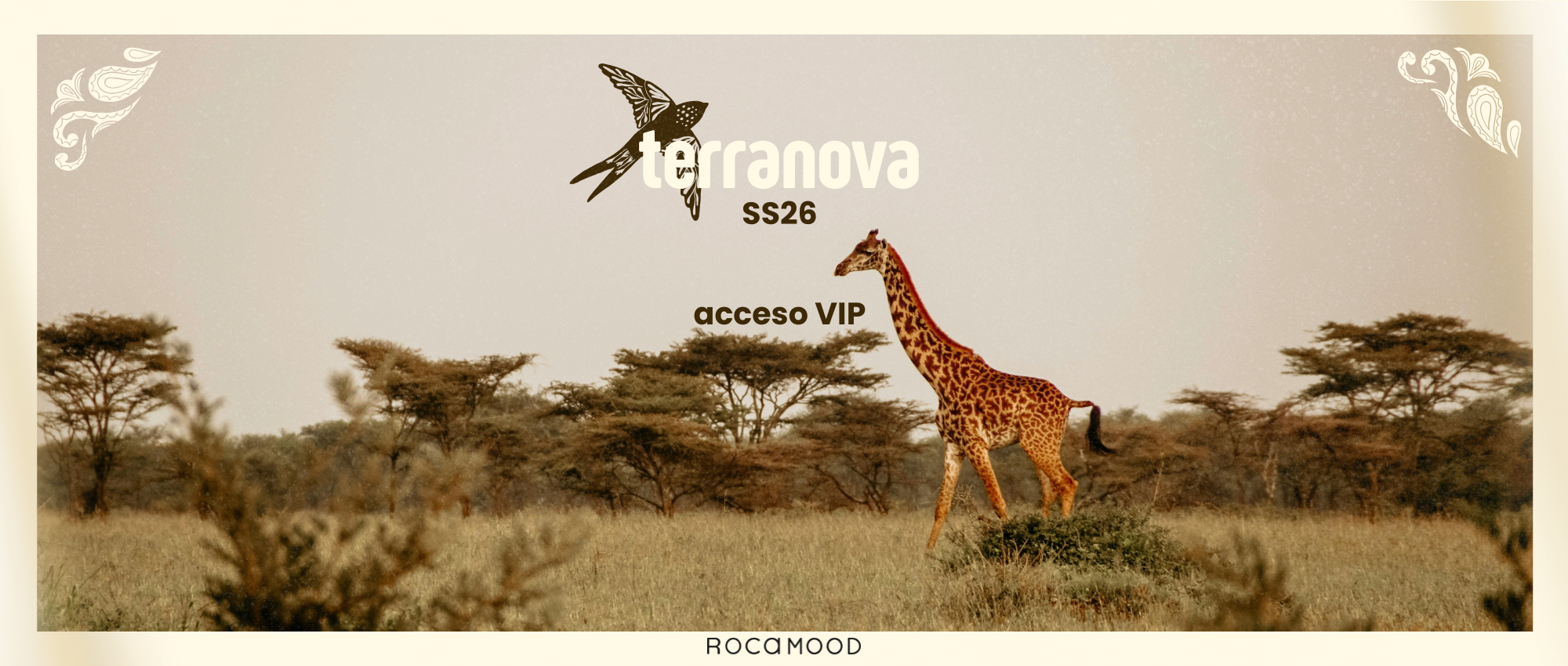 slider image slider_item_eh9VLC